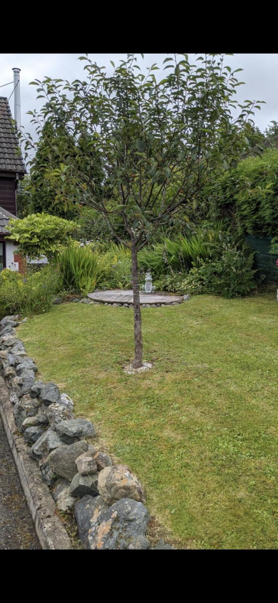 Contemporary Highland House Close To Town And Ben Nevis Fort William Zewnętrze zdjęcie
